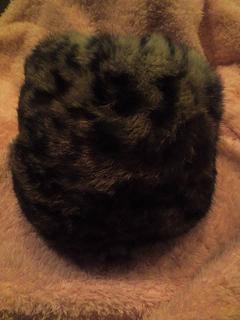 ネコ?・・・かなあ。