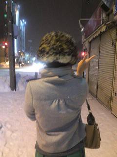 ネコ?・・・かなあ。