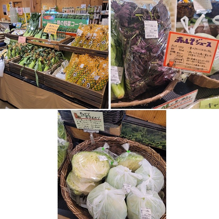 7/26 とかちむらへ行こう!