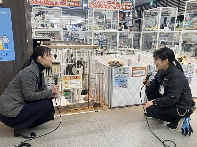 ペットワールドPROX音更店 4周年!